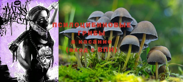 MESCALINE Арсеньев